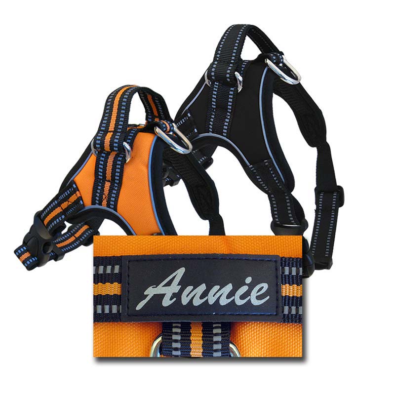Personalized Sport Harness for Dogs, - Lucky Pet